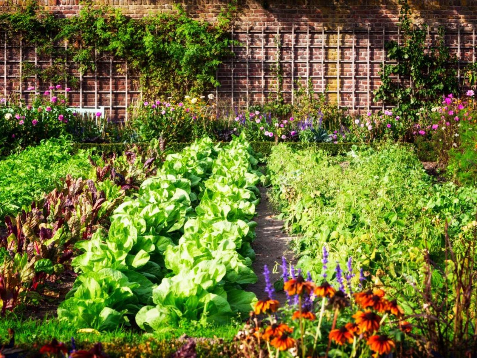 La jardinería mixta permite tener el jardín estéticamente agradable y funcional.