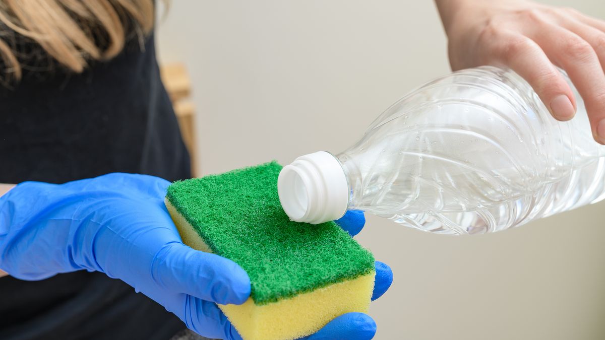 Desinfectar la esponja de la cocina es importante para no contaminar la vajilla