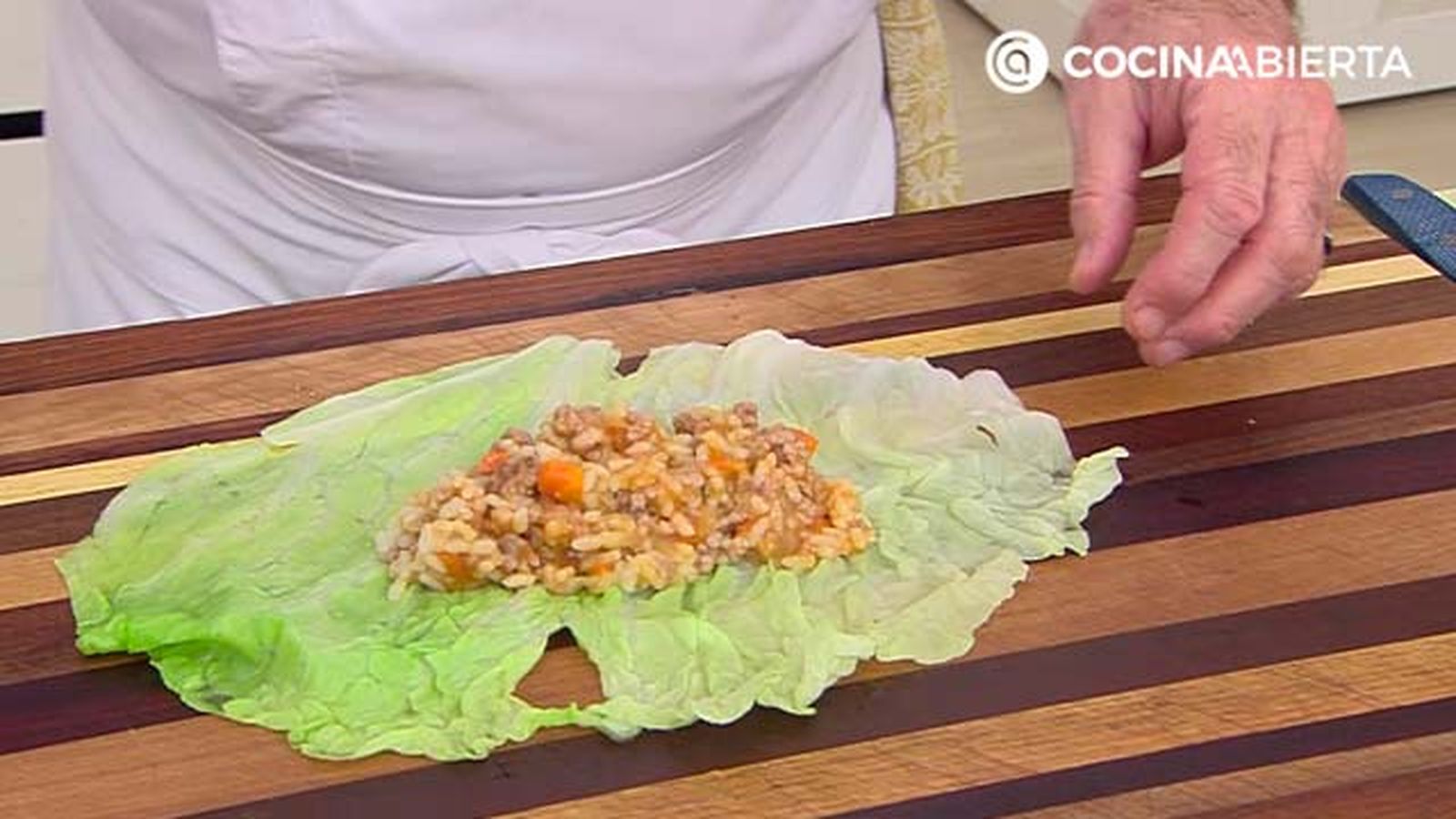 KARL7035 col carne p5 KARL7035 col carne p5