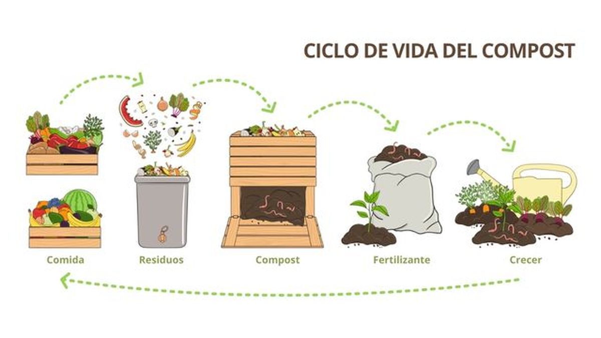 ciclo de vida del compost