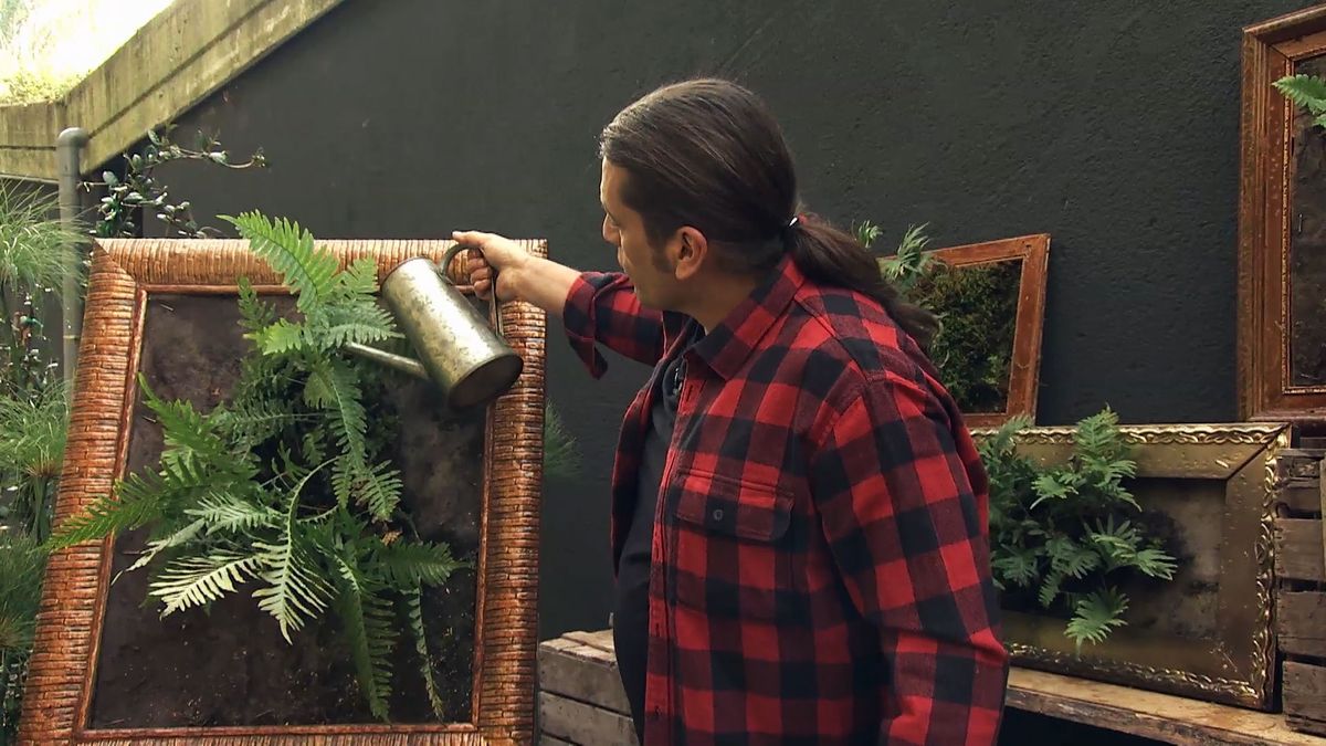 Deco 721 jardineria jardin vertical helecho xl