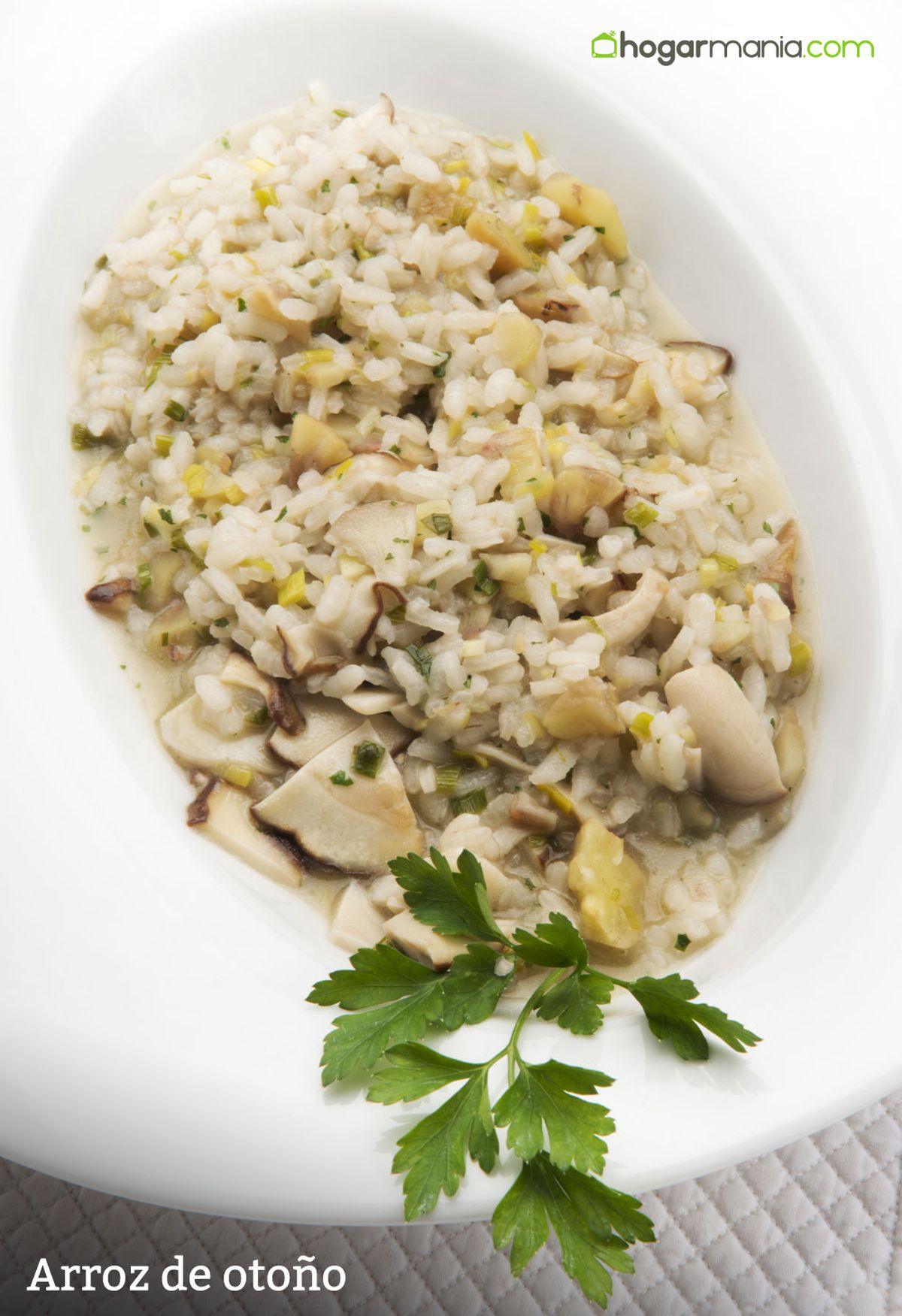 6063 1 Arroz de otoño vertical xl