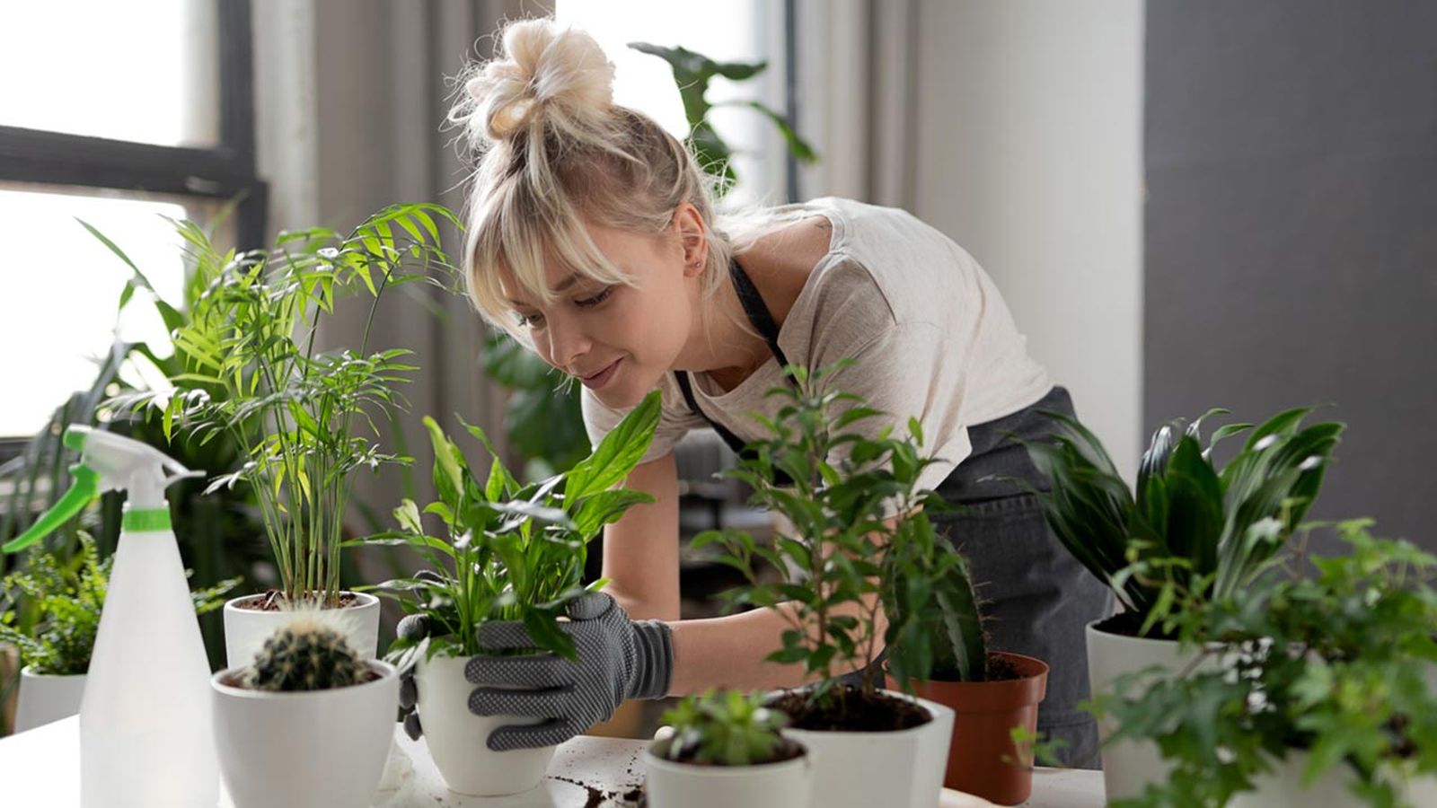 errores comunes que todo jardinero principiante deberia evitar errores comunes que todo jardinero principiante deberia evitar