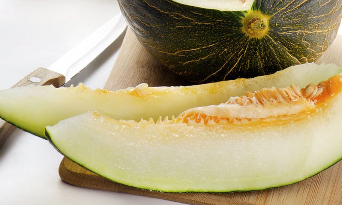 5409 nutricion ainhoa melon xl