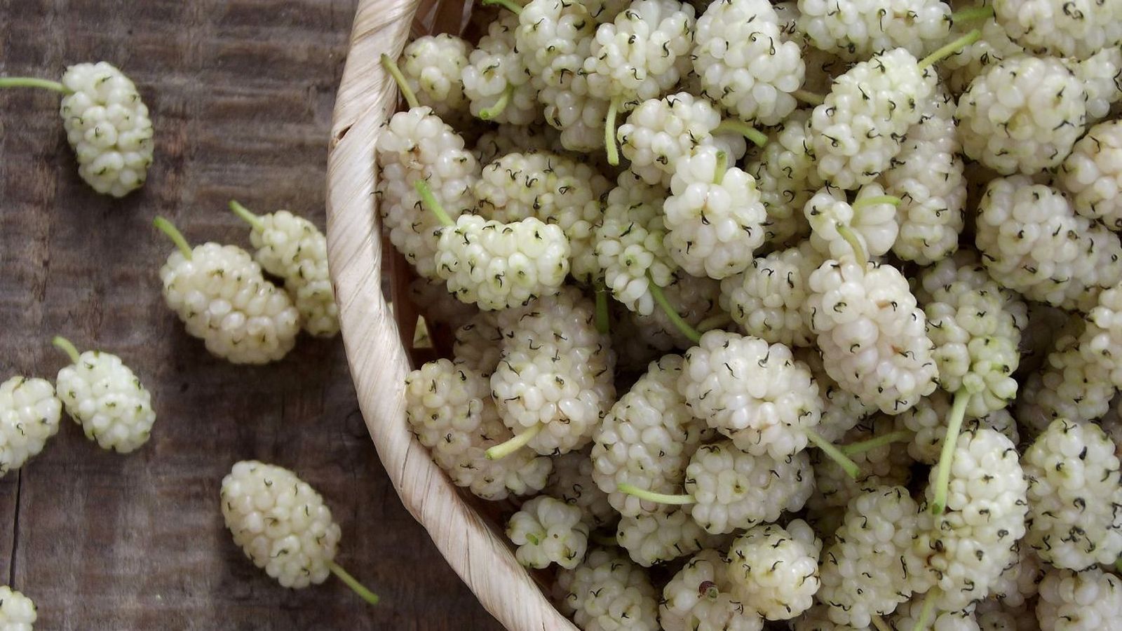 Moras blancas