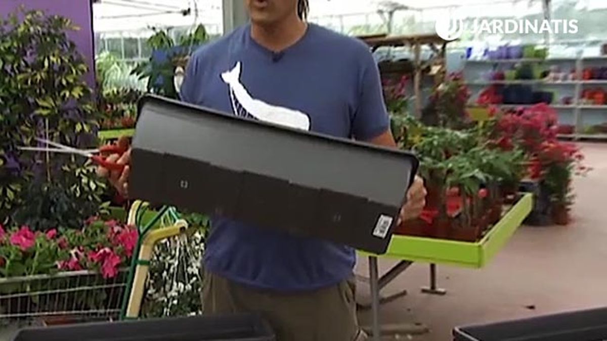 petunias dipladenias bacopas jardinera deco 390