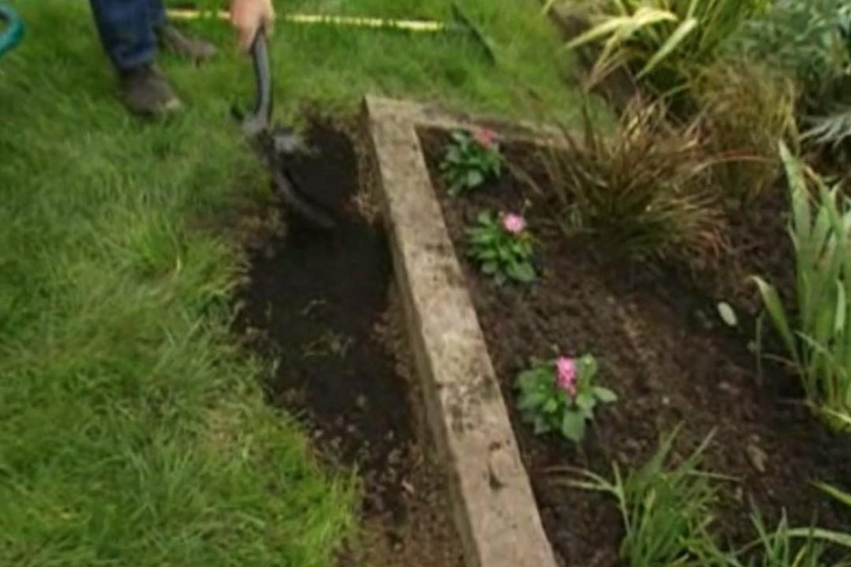 brico jardin 459 tratar hongo calvas cesped primavera paso 5