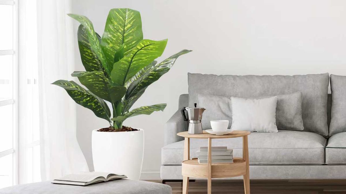 Salón con una planta artificial grande pothos.