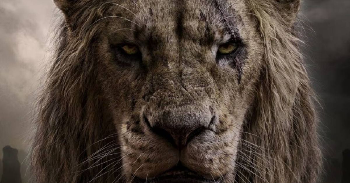Leon Mas El león más grande del mundo no vive en libertad