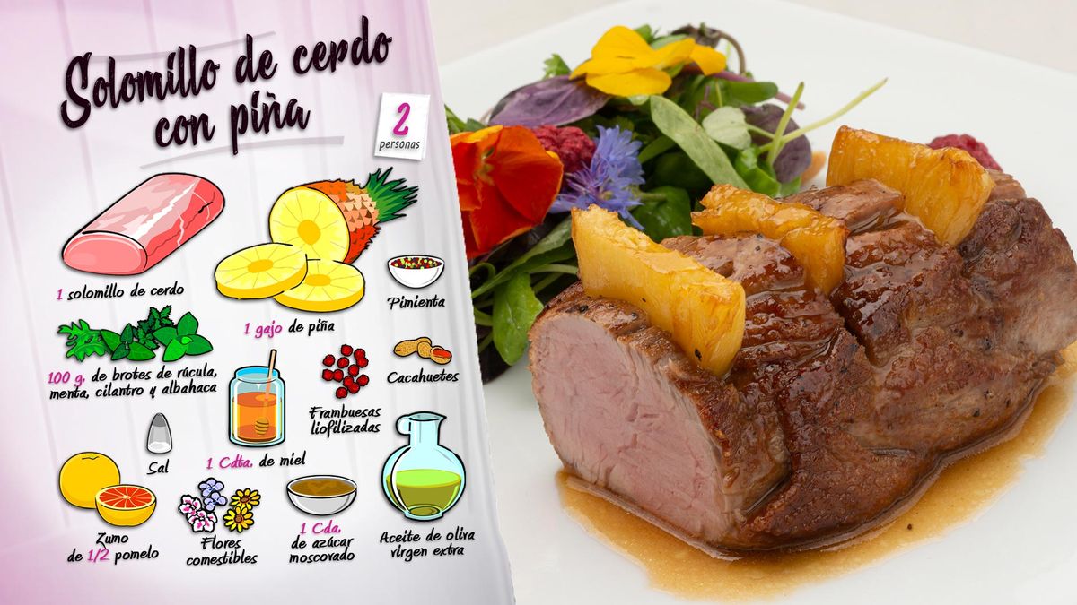 karl6608 solomillo pina ing