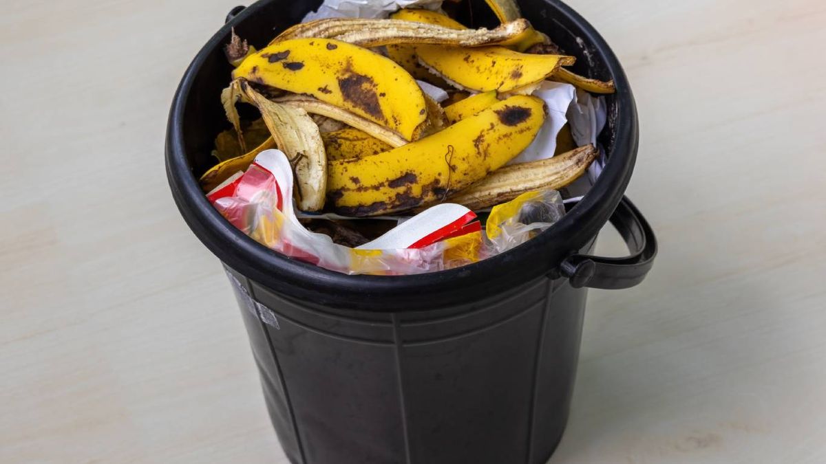 Cuando algo huele raro, lo primero que comprobamos es la basura.