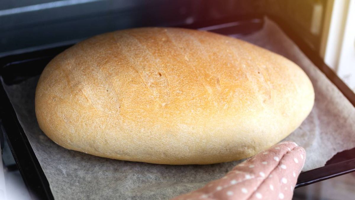 pan sin gluten receta celiacos