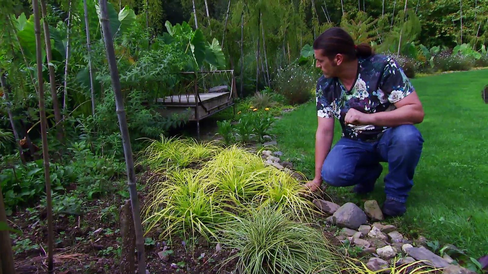 DEKO_JARDIN_633_Carex everillo jardin inigo DEKO_JARDIN_633_Carex everillo jardin inigo