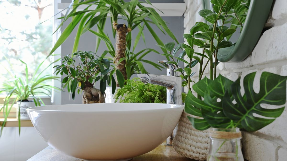 Plantas de hoja verde sobre el lavabo del baño.