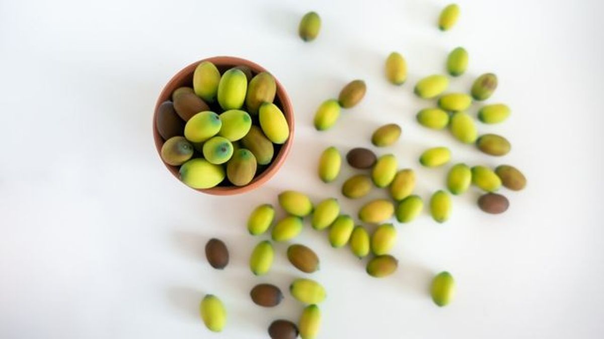 reproduccion flor de loto mediante semilla