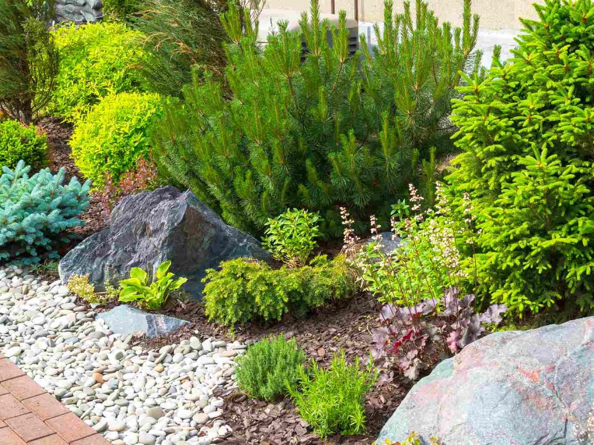 Además de ser muy decorativas, las rocallas tienen varias ventajas.