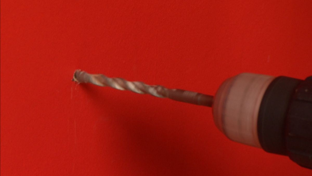 Lámpara silvestre paso 11