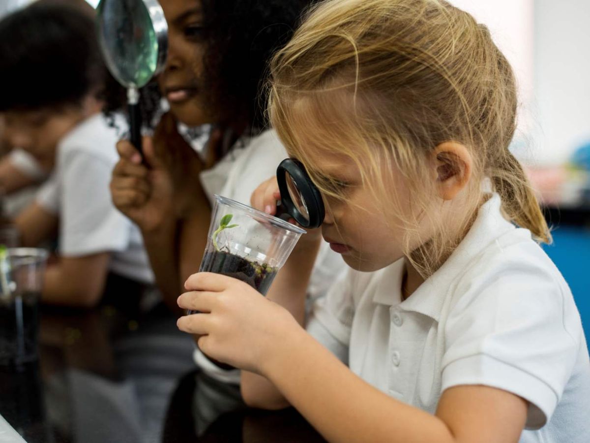 La Fiesta de la Primavera de Barcelona une a adultos y niños.