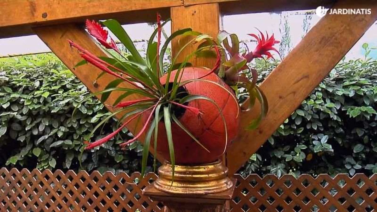 Resultado final del macetero con balones de baloncesto