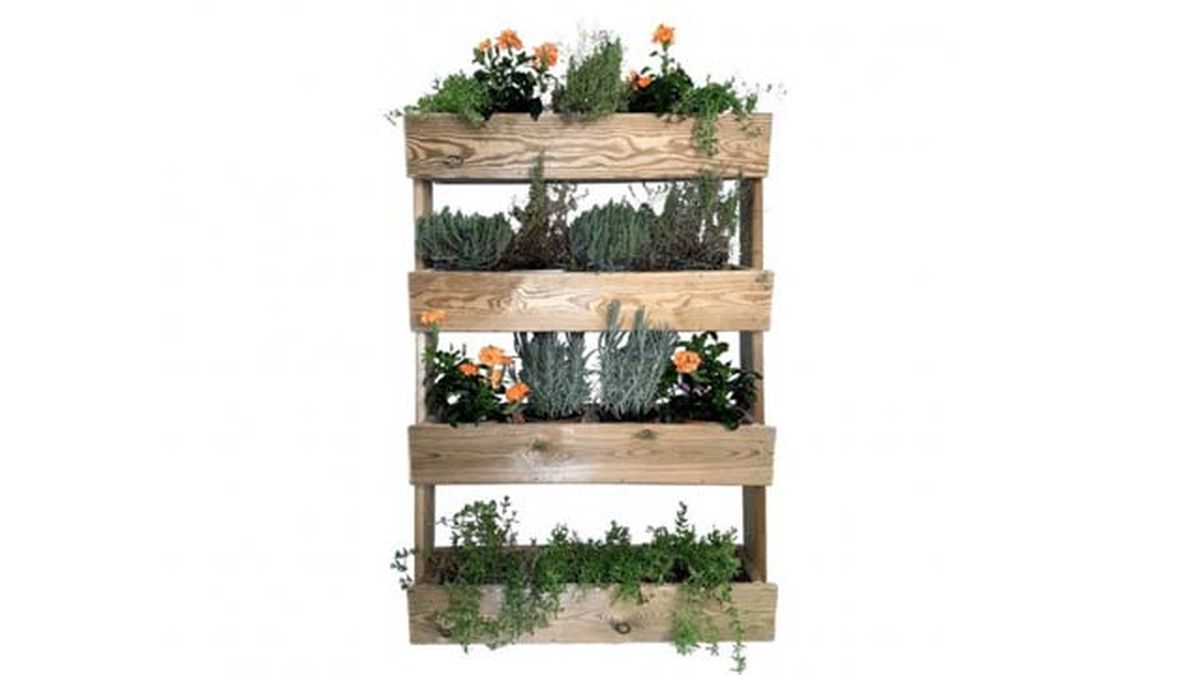 huerto urbano vertical pared