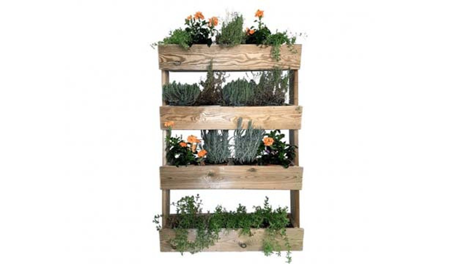 huerto urbano vertical pared huerto urbano vertical pared