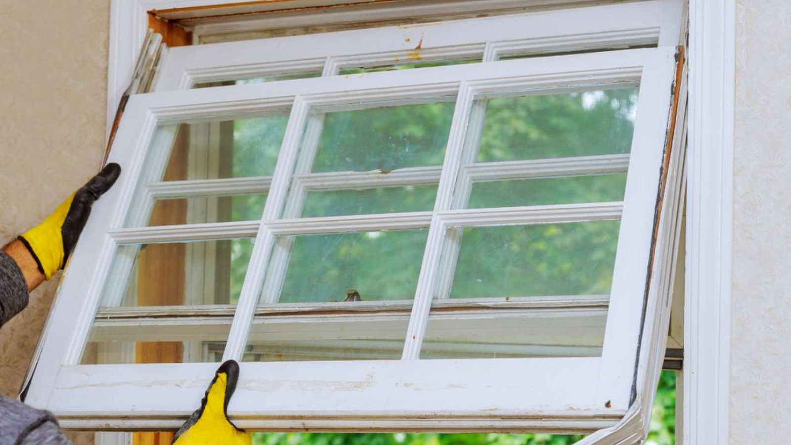 permiso de obra para cambiar ventanas xl permiso de obra para cambiar ventanas xl