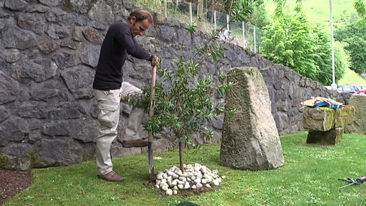 Borduras para césped paso 2