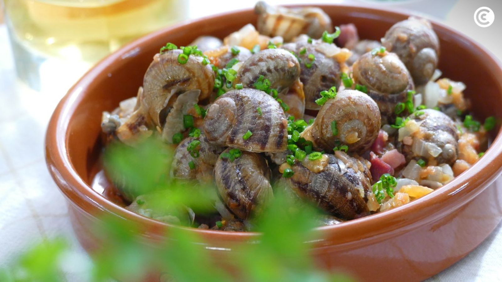 Caracoles cómo limpiarlos