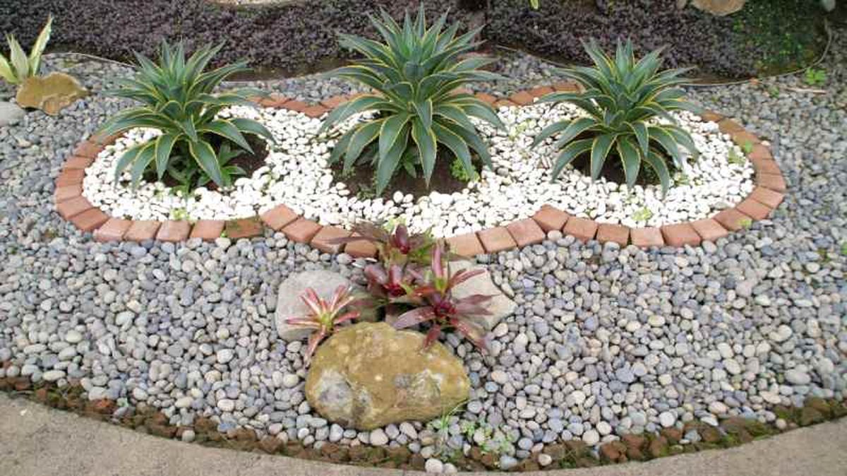 Selecciona especies que necesiten poca agua.