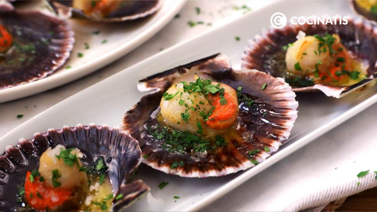 CTIS1001 receta zamburinas a la plancha