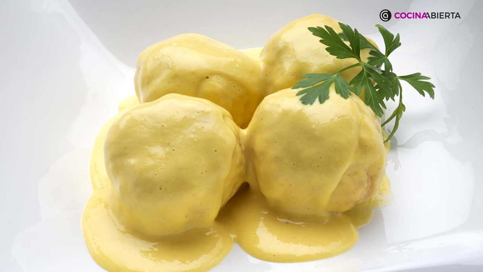 KARL6992 albondigas pollo xl KARL6992 albondigas pollo xl