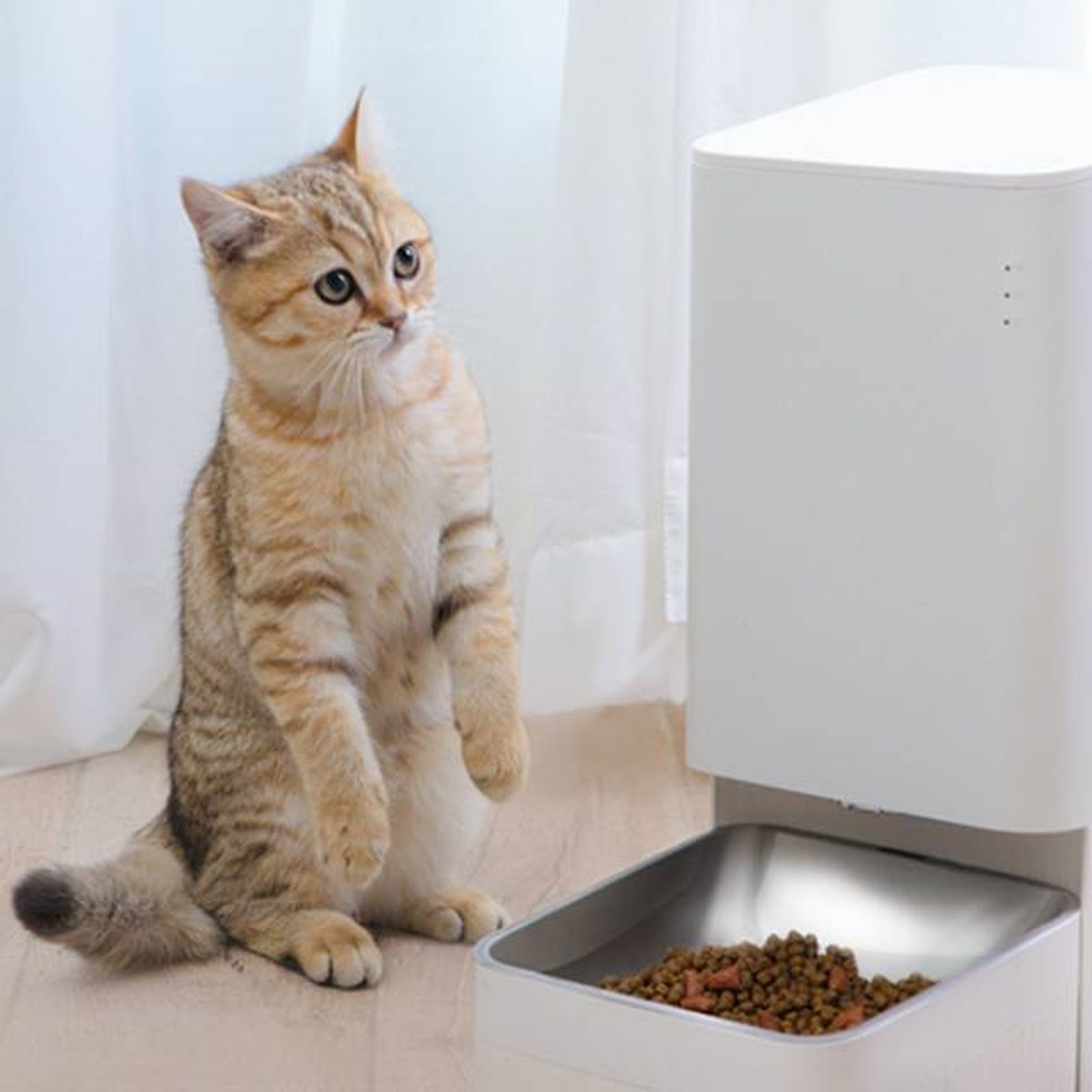 Xiaomi Smart Pet Food Feeder comedero automatico para mascotas Xiaomi Smart Pet Food Feeder comedero automatico para mascotas