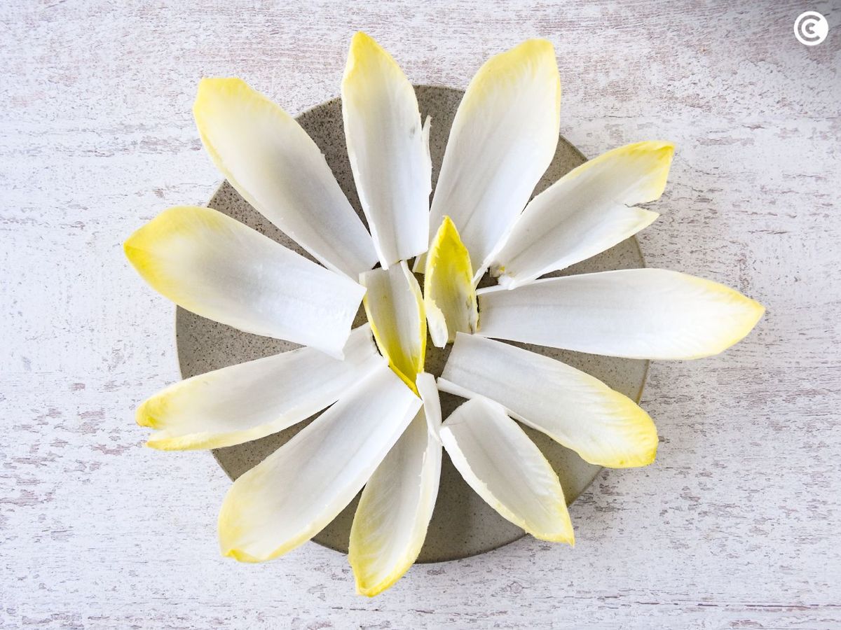 Coloca las hojas de endivia de manera vistosa para rellenarlas con la salsa de queso