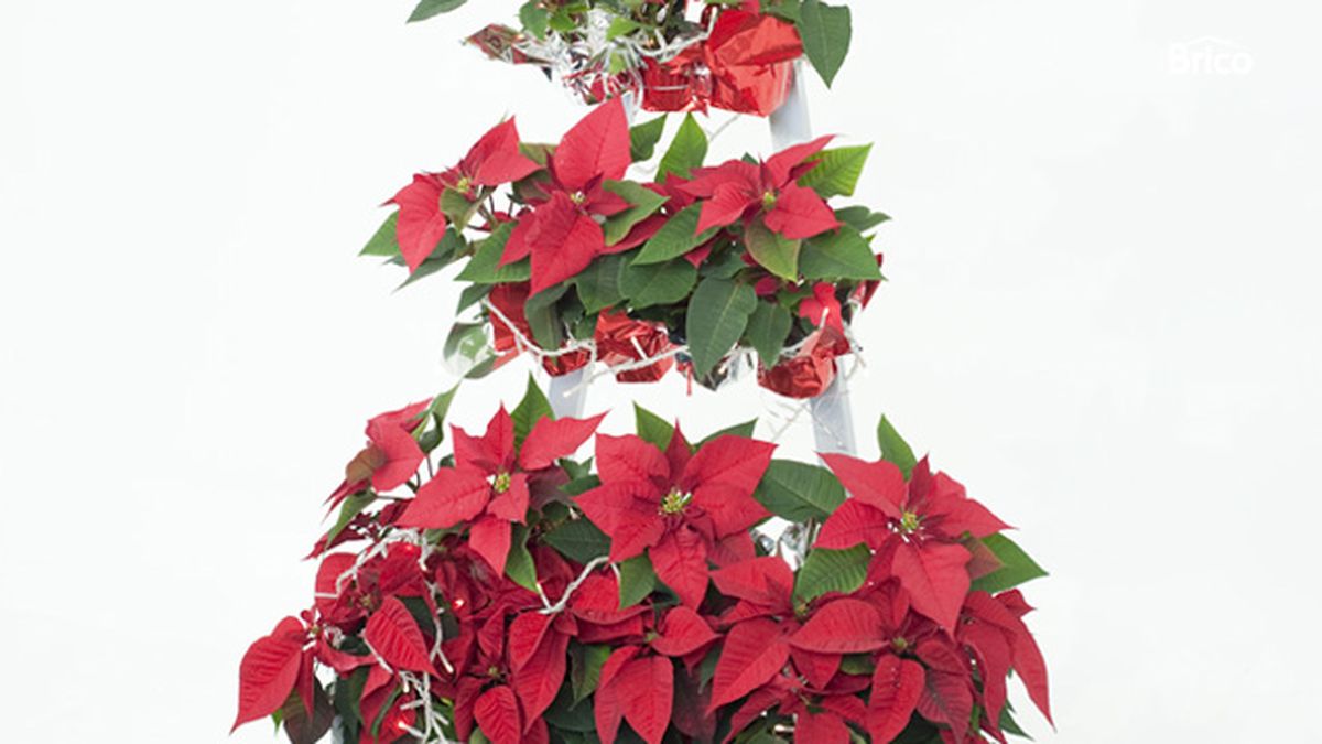 Bricomania 673 arbol de navidad con flores p16