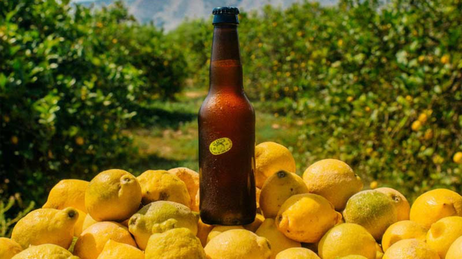 Cada año se tiran miles de toneladas de limones. Clarica los aprovecha para crear una cerveza murciana ligera, natural y con mucho sabor.
