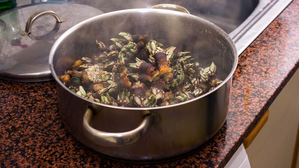 Percebes cocidos en una cazuela