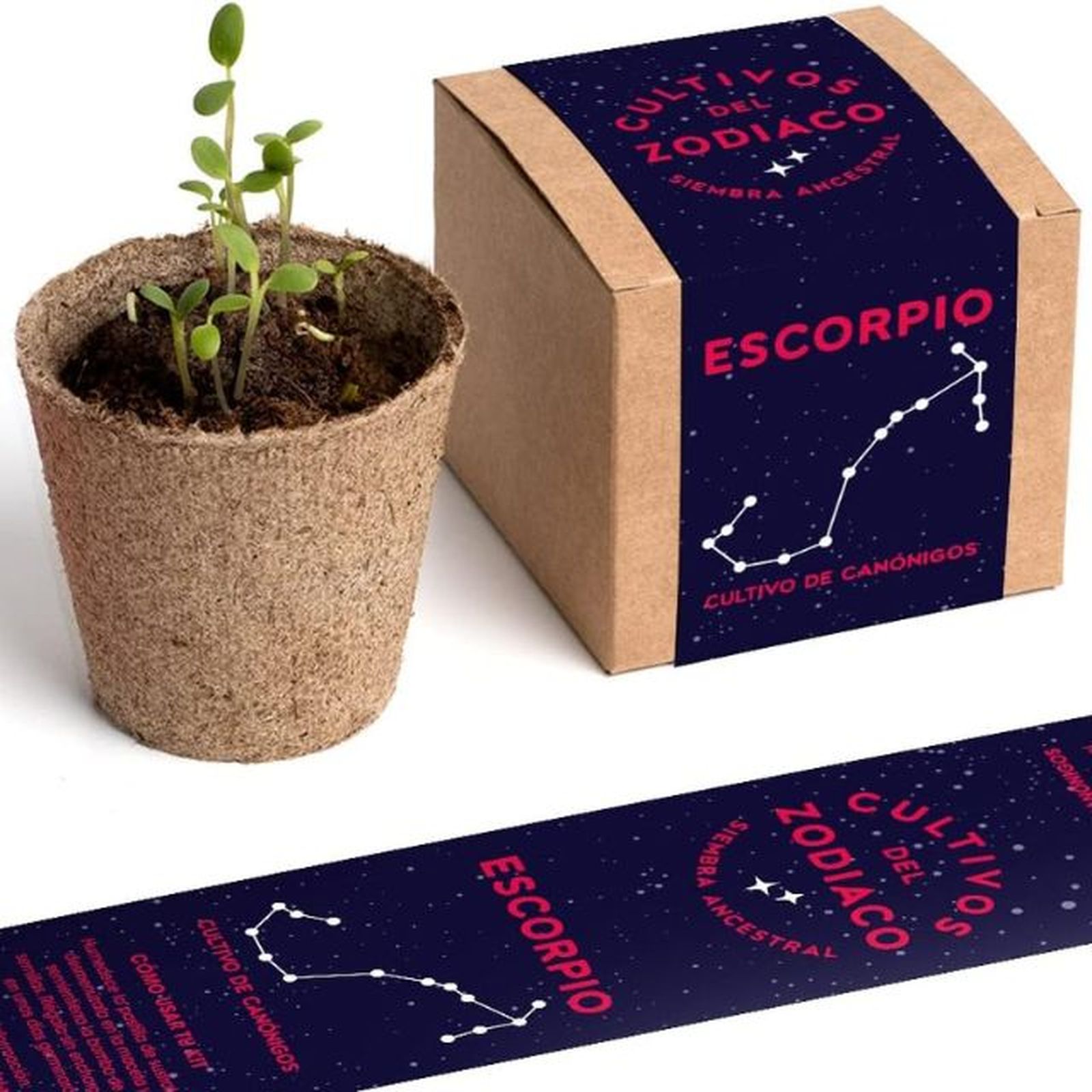 kit autocultivo escorpio resetea kit autocultivo escorpio resetea