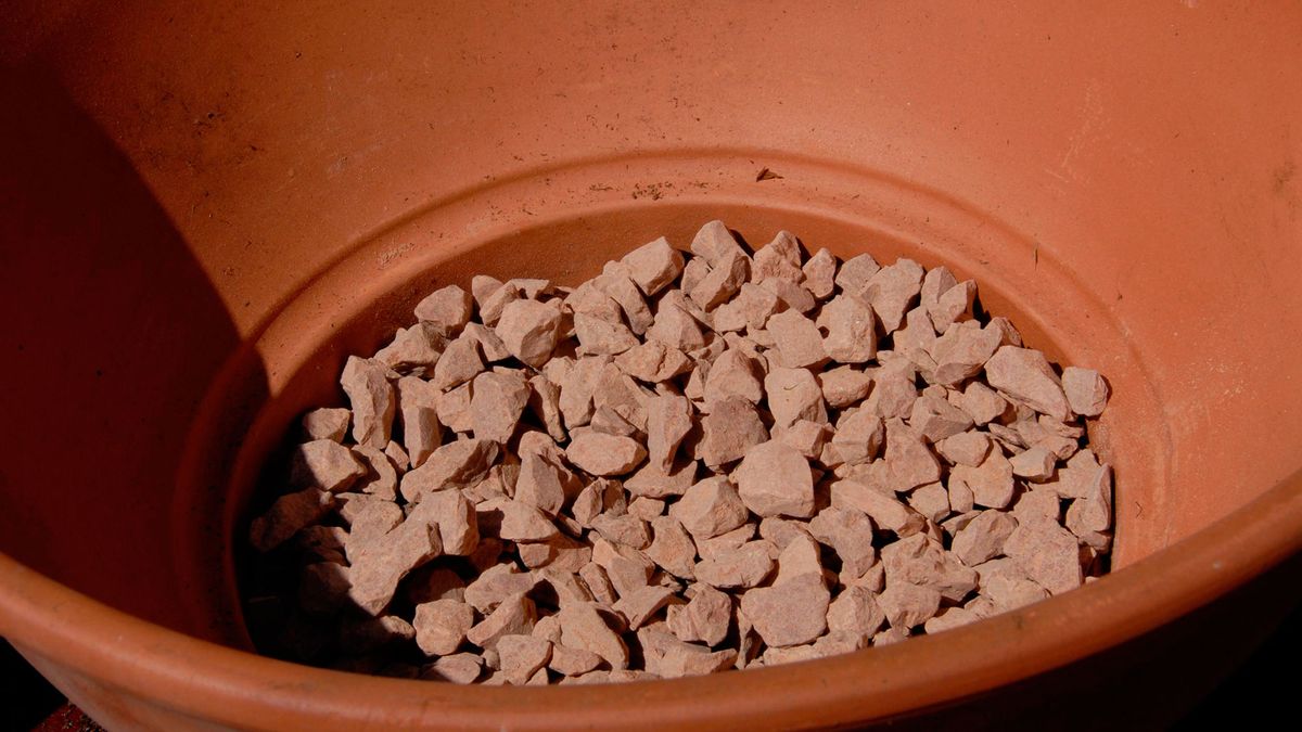 Decogarden 246 composicion plantas crasas macetas 1