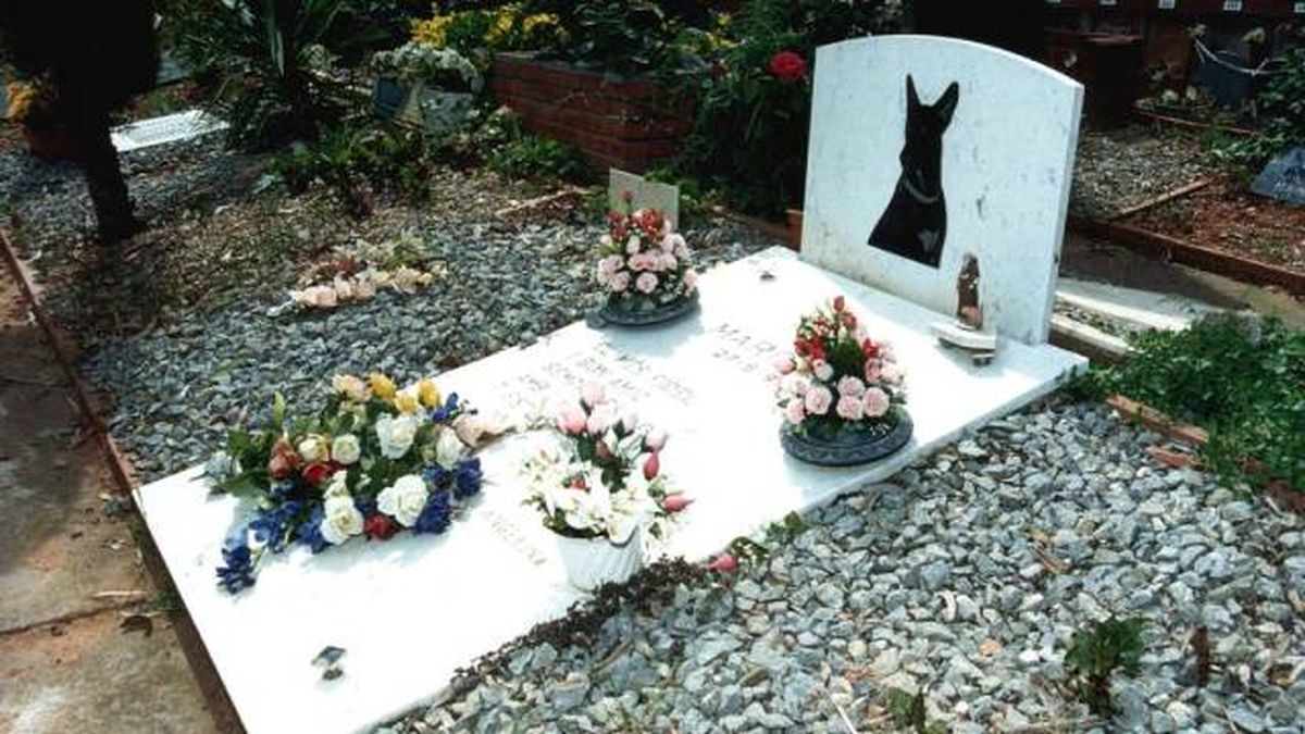 lapidas homenaje a perro fallecido cementerio pequeñas mascotas barcelona