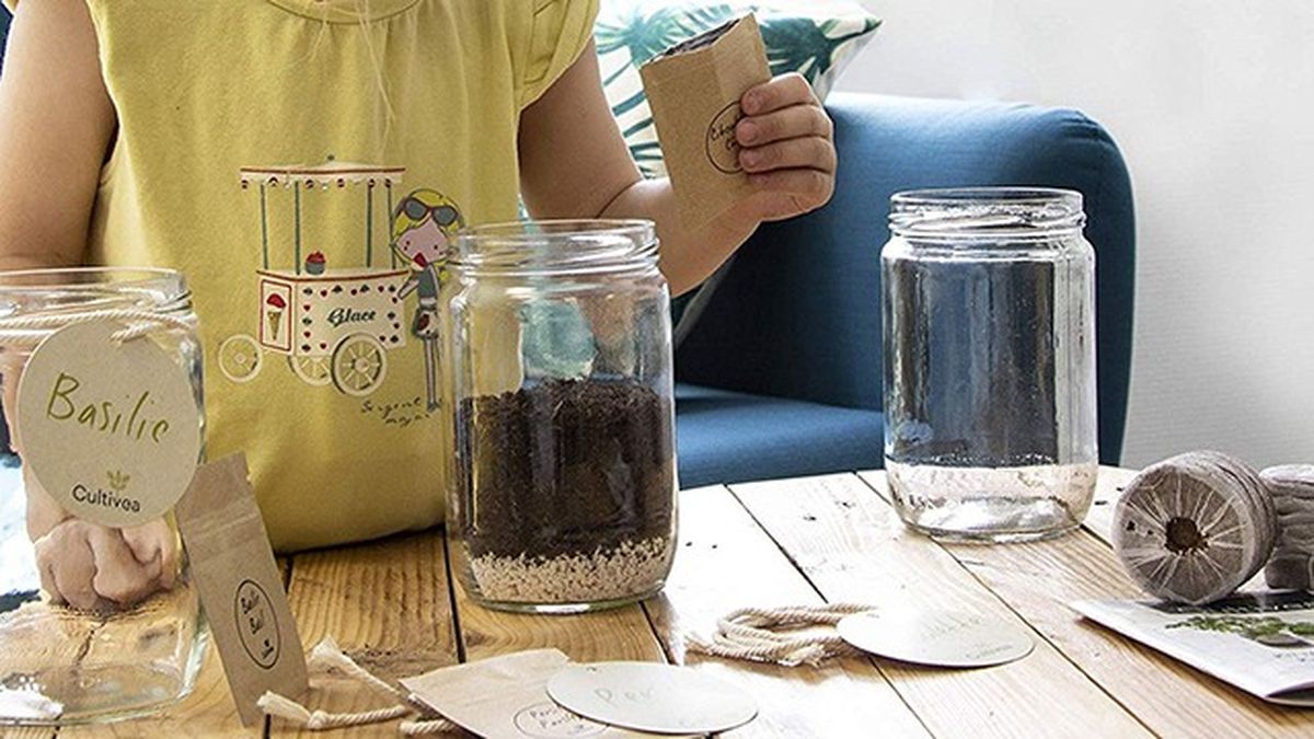 Kit de siembra de hierbas aromáticas de Cultivea