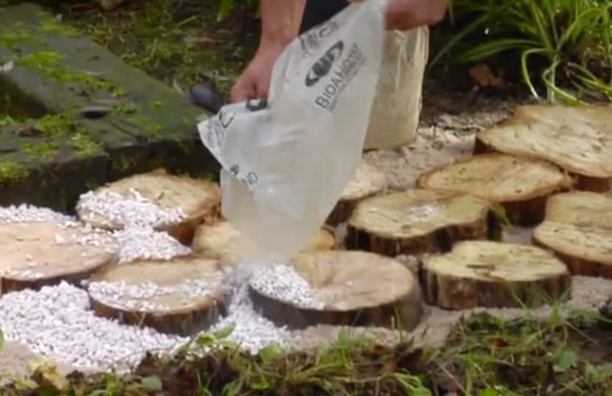 Camino de jardín con círculos de madera paso 4