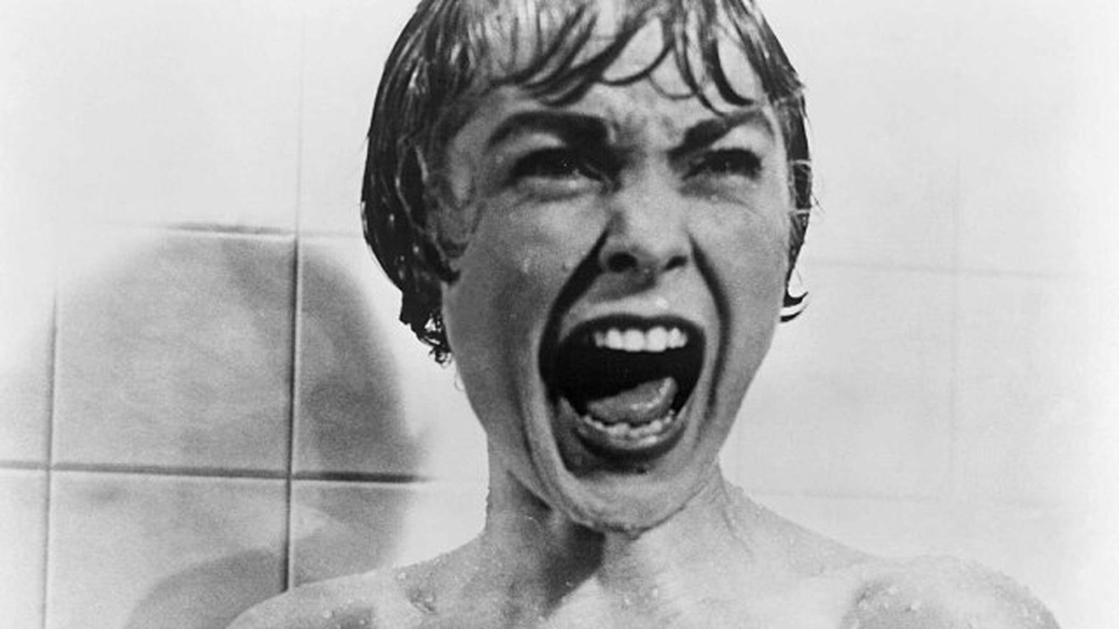 Janet Leigh en la mítica escena de la ducha en Psicosis (1960) Janet Leigh en la mítica escena de la ducha en Psicosis (1960)