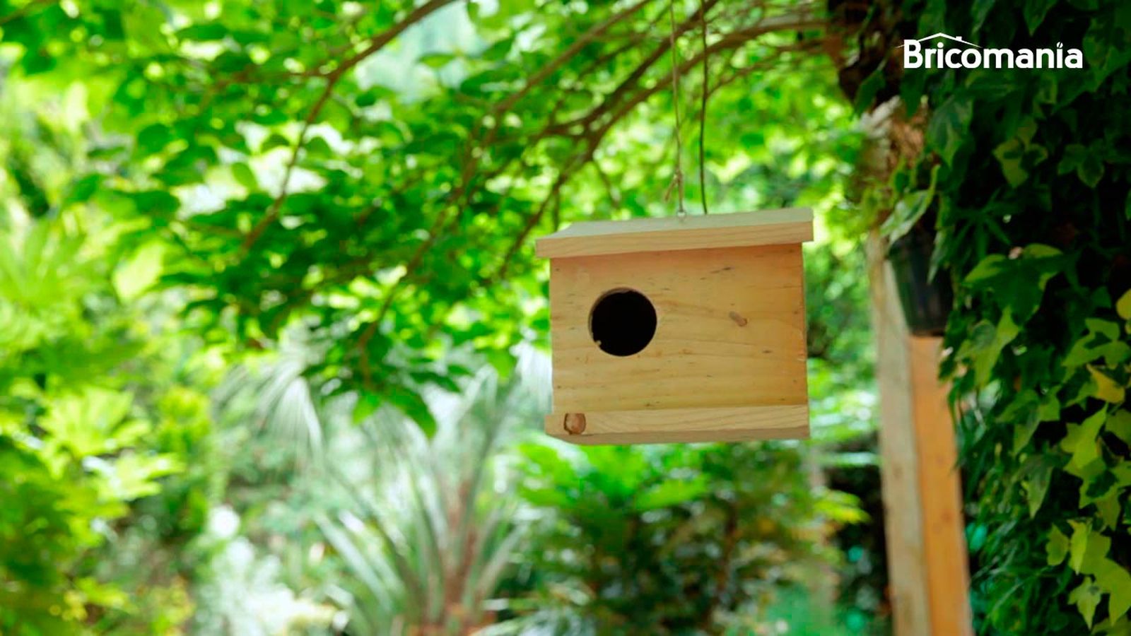 Cómo hacer una casita para pájaros Cómo hacer una casita para pájaros