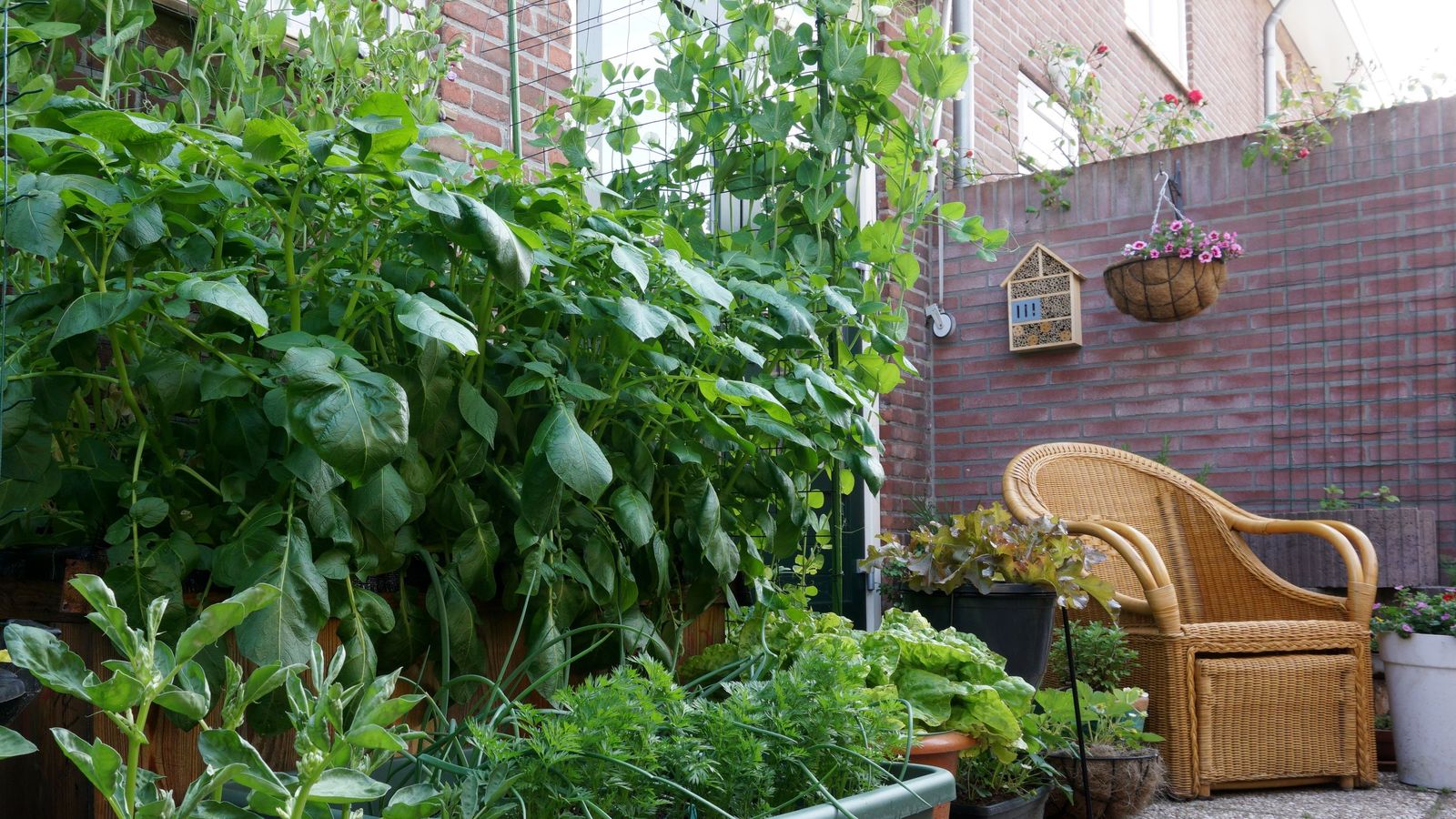 Los muros vivos son sistemas que crean capas de plantas que cubren una superficie vertical