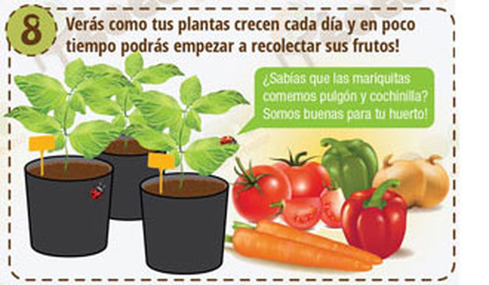 Siembre directa 8 Siembre directa 8