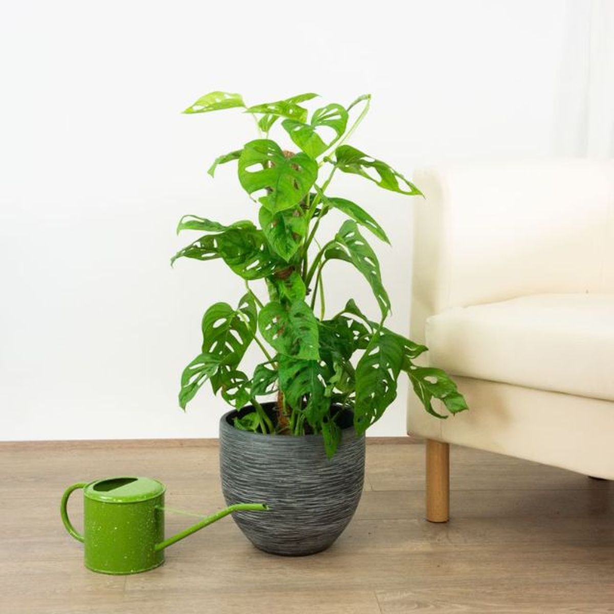 macetero paris xxl be green