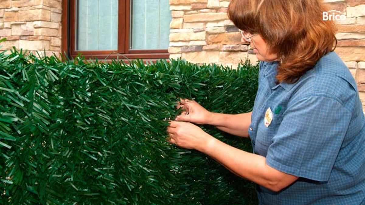 Separación con seto artificial paso 4