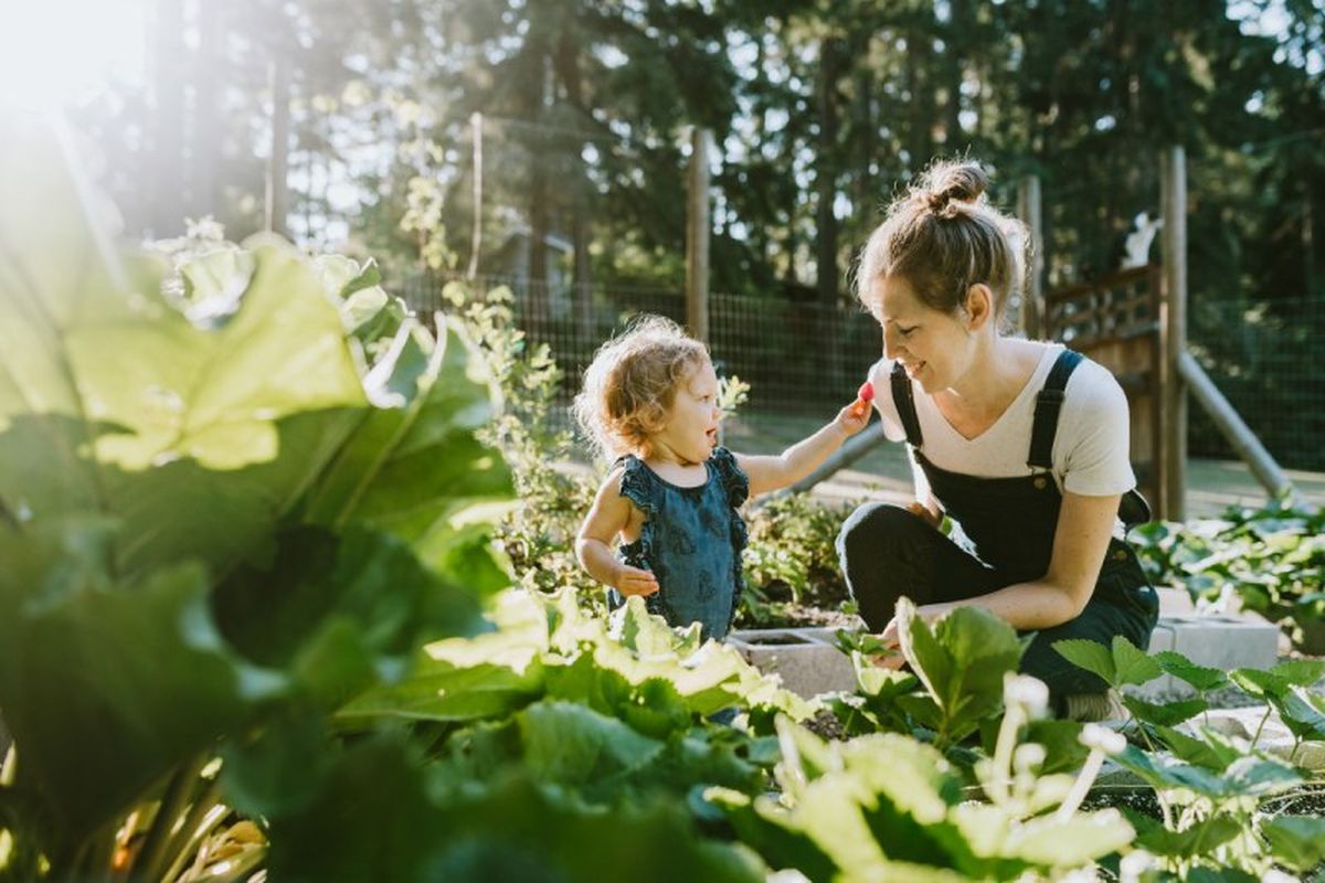 Trabajar en la huerta es un hábito ideal para los peques de la casa