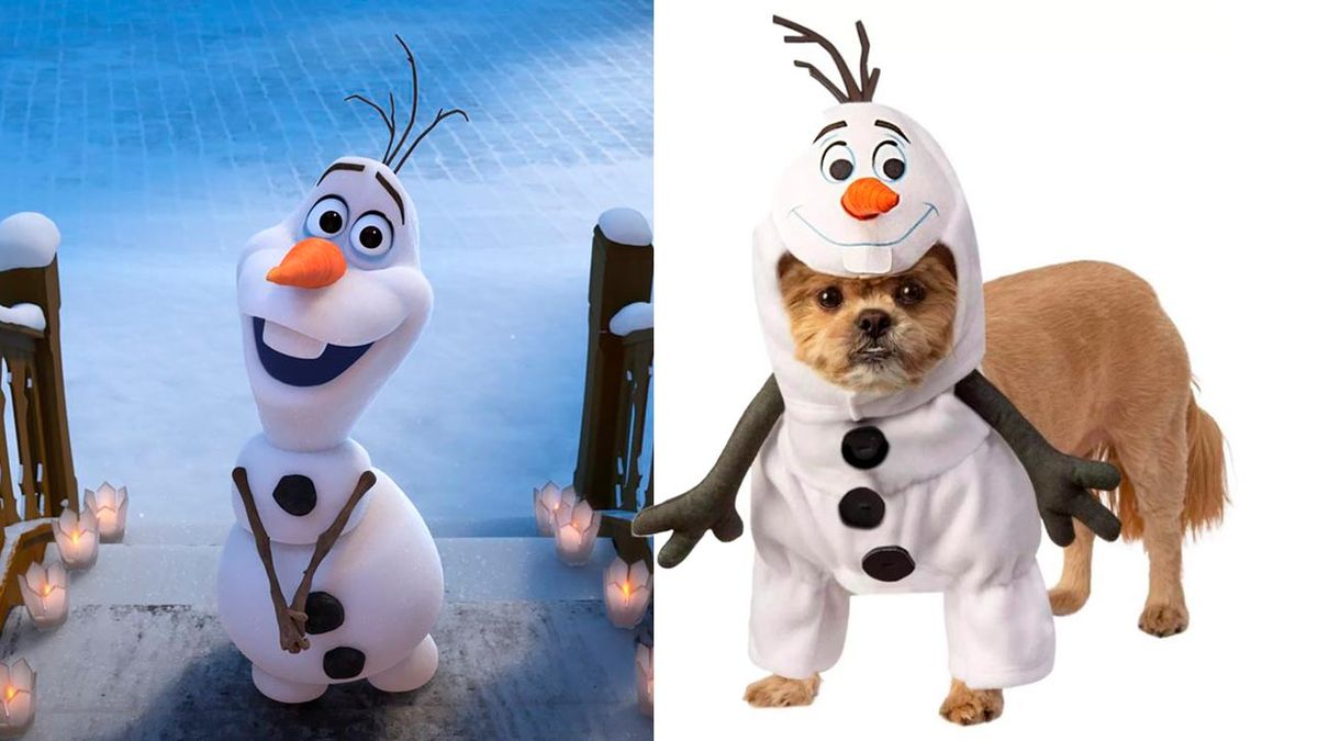 disfraces disney mascotas 9