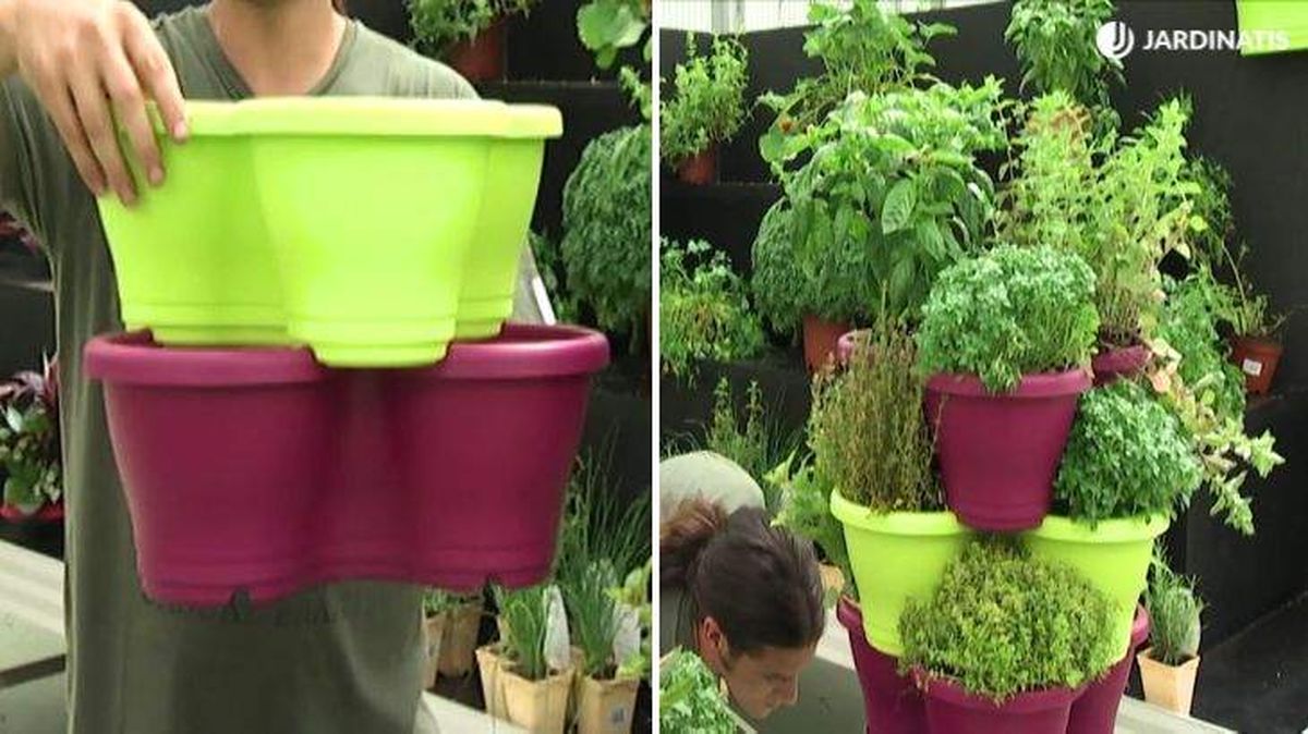 huerto vertical plantas comestibles deco 446